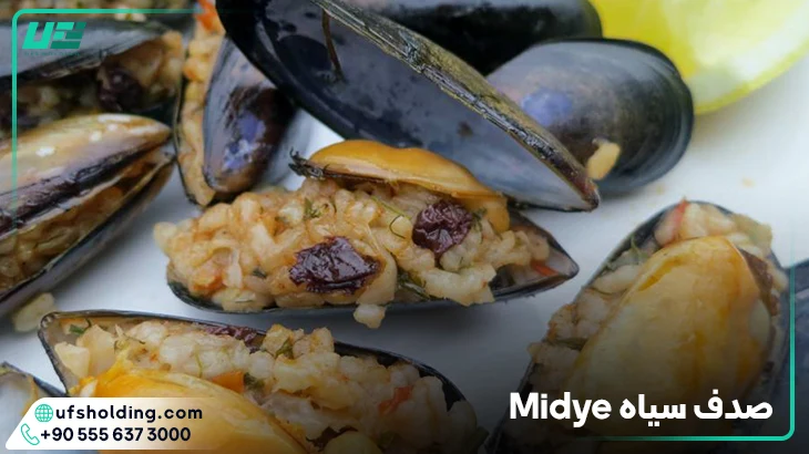 صدف سیاه Midye
