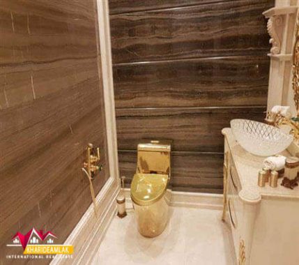 Buy-apartment-330-meters-in-Tajrish3