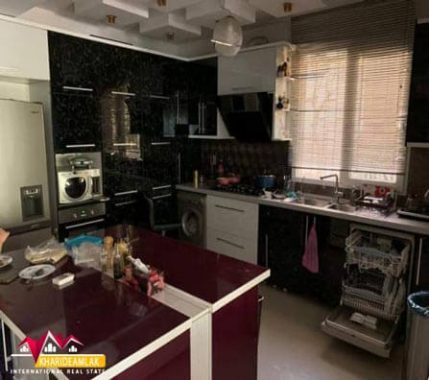 Buy-apartment-365-meters-in-Niavaran6